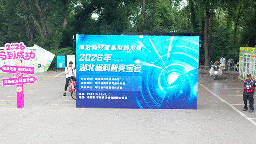 图10
